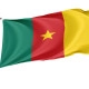 Cameroon Outdoor Quality Flag - Image 1