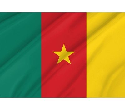 Cameroon Outdoor Quality Flag