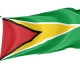 Guyana Outdoor Qualität Flagge - Image 1