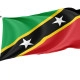 Saint Kitts and Nevis Outdoor Quality Flag - Image 1