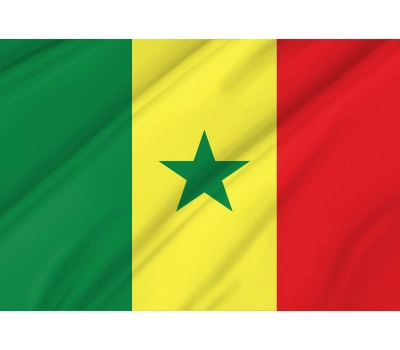 Senegal Outdoor Quality Flag