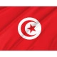 Tunisia Outdoor Quality Flag - Image 2
