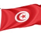 Tunisia Outdoor Quality Flag - Image 1