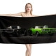 Pontiac Firebird Beach Towel - Image 1