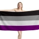 Asexual Flag Beach Towel - Image 1