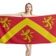 Anglesey Flag Beach Towel - Image 1